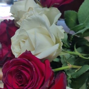 Meet your Posher, Gina